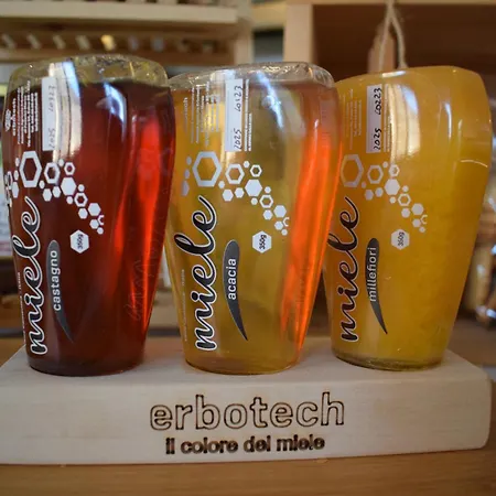 花园酒店 布雷诺