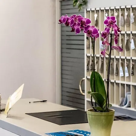 酒店 花园酒店 3*